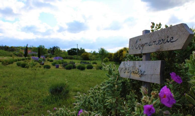 Vila Au Mas D'Emma Bourg-Saint-Andéol Exteriér fotografie